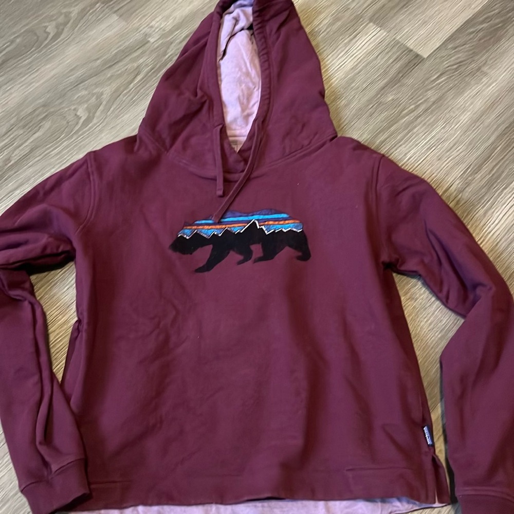 Patagonia hoodie